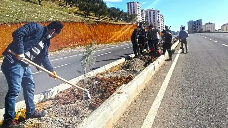 'Kahramanmaraş´ta bin 100 fidan toprakla buluştu'