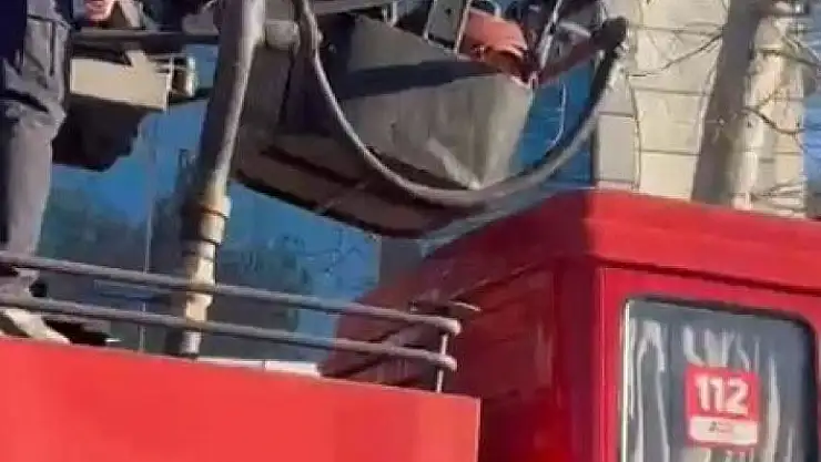 'Kahramanmaraş´ta depremde hasar gören binada mahsur kalan kedi kurtarıldı'