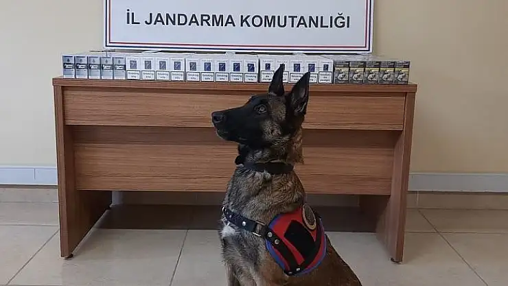 'Kahramanmaraş´ta kaçakçılıkla mücadele'