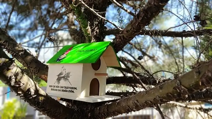 'Kahramanmaraş´ta kedi ve kuşlara ev'