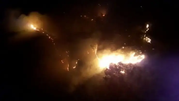 'Kahramanmaraş´ta orman yangını'