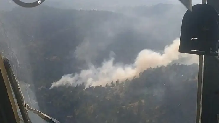 'Kahramanmaraş´ta orman yangını'