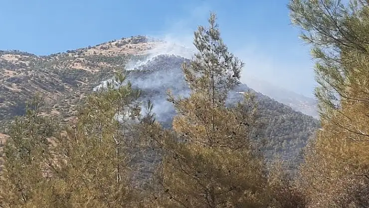 'Kahramanmaraş´ta orman yangını'