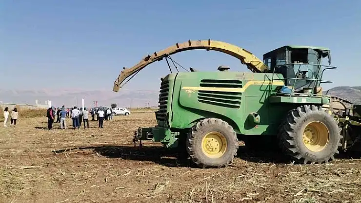 'Kahramanmaraş´ta silajlık mısır hasadı'