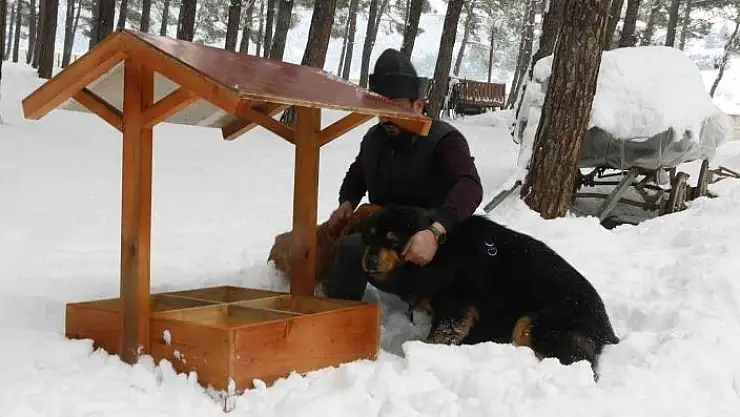 'Kahramanmaraş´ta sokak hayvanlarına  onlarca yeni yuva'