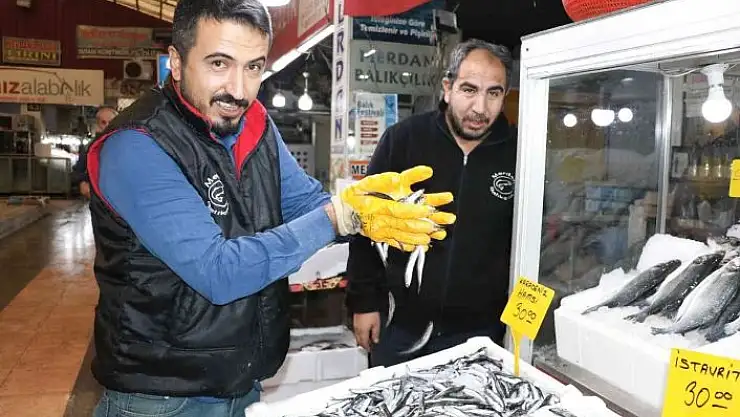 'Kahramanmaraş´ta tezgahlarda balık bolluğu'