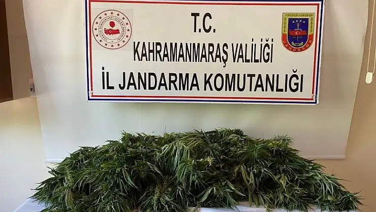 'Kahramanmaraş´ta uyuşturucu operasyonu'