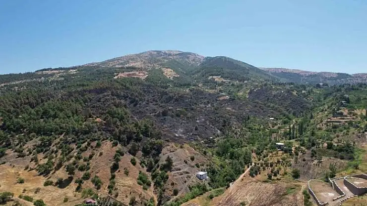 'Kahramanmaraş´ta yanan 15 hektar alan dron ile görüntülendi'