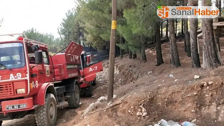 Kahramanmaraş'ta zeytinlik alanda yangın