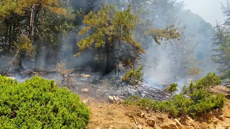 'Kahramanmaraş´taki orman yangını iki noktada devam ediyor'