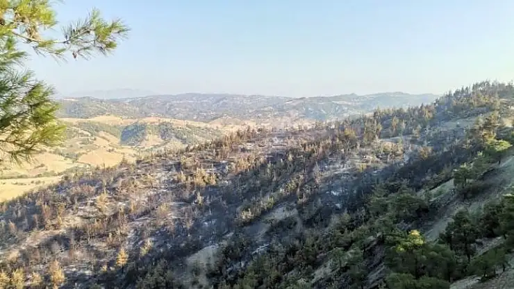 'Kahramanmaraş´taki orman yangınında 50 hektar alan zarar gördü'