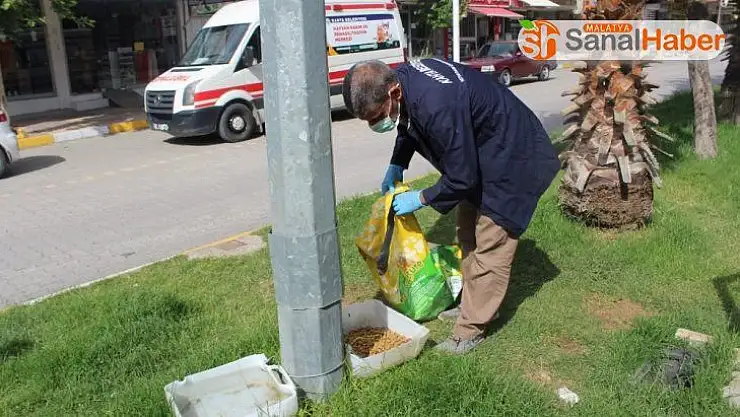 Kahta Belediyesi sokak hayvanlarını unutmadı