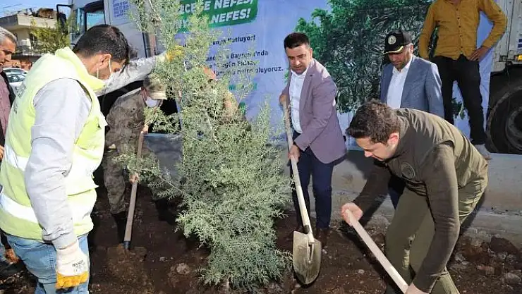 'Kahta´da 2 bin 23 fidan dikildi'