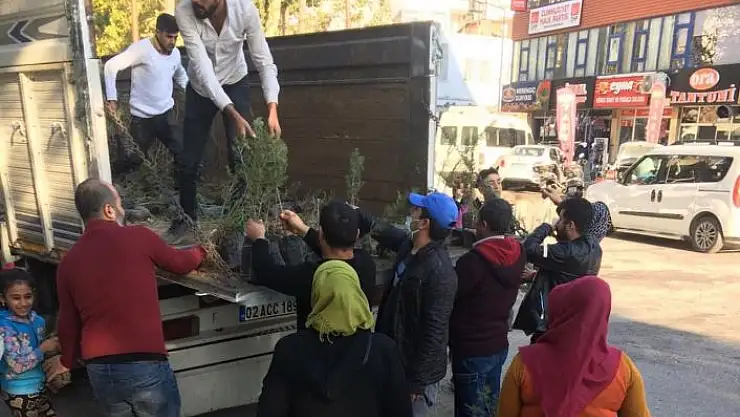 'Kahta´da 20 bin fidan dağıtıldı'