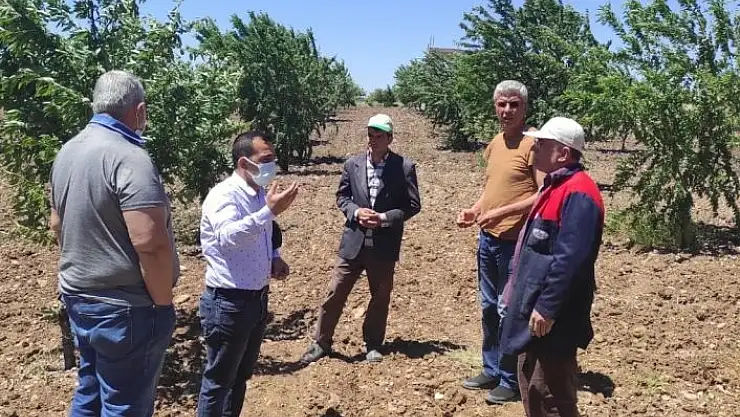 'Kahta´da bahçeleri fırtına vurdu'