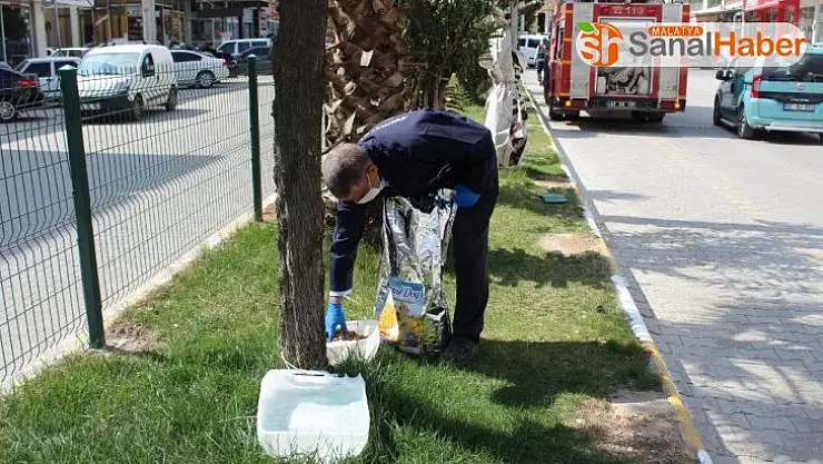 Kahta'da sokak hayvanları için mama ve su bırakılıyor