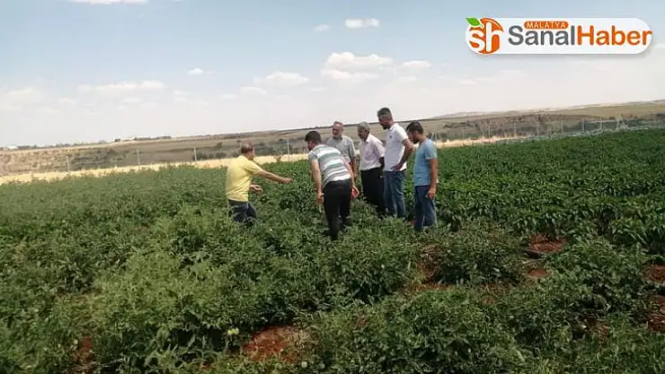 Kahta'daki sebze üreticileri bilgilendiriliyor