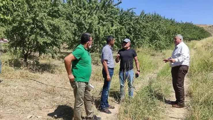 'Kahta Ziraat Odası kuraklıkla mücadele için çalışıyor'