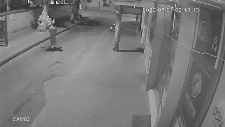 'Kaldırımdaki çiçeği çaldı'