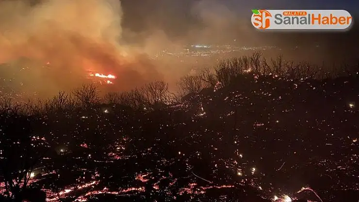 Kaliforniya'da korkutan yangın