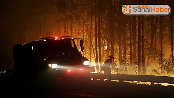 Kaliforniya orman yangınlarıyla mücadele ediyor