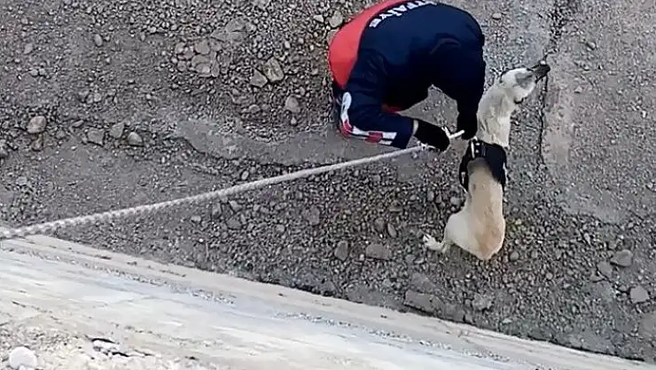 'Kanala düşen köpeği itfaiye kurtardı'