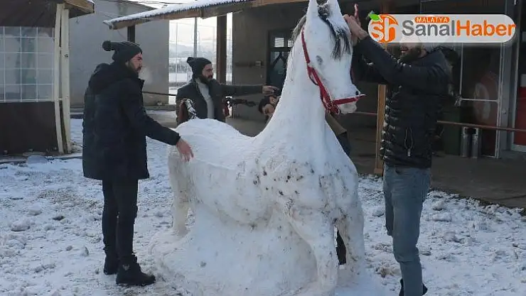 Kar ve soğuğu sanata dönüştürdüler