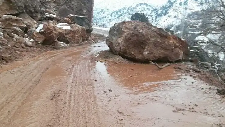 'Kar yağışı heyelana neden oldu'