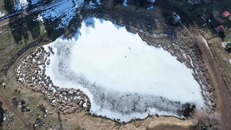 'Kar yağmayan Sivasta göl buz tuttu'