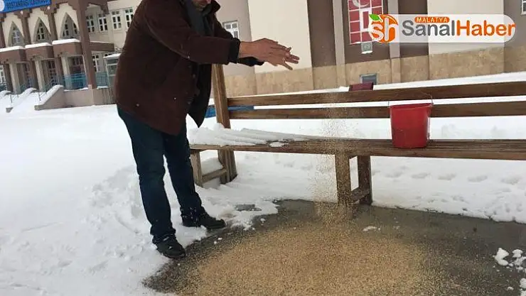 Karda aç kalan kuşlar için doğaya yem bırakıldı