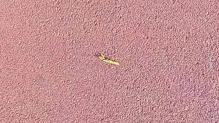 'Karınca azmiyle dikkat çekti'