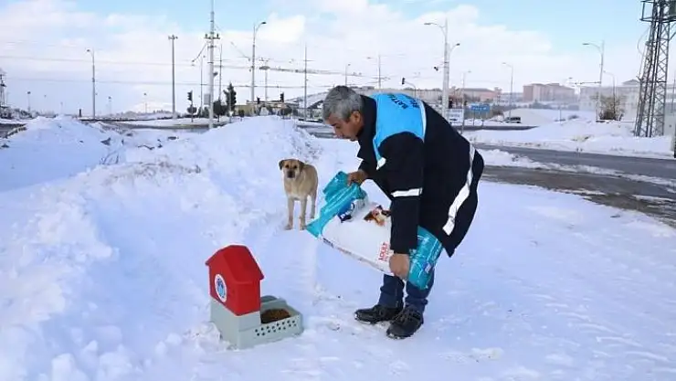 'Karlı ve soğuk havada Battalgazi´deki can dostlar unutulmadı'