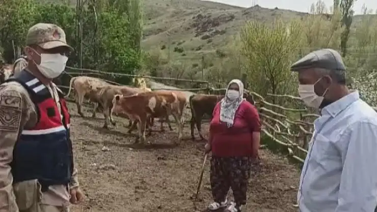 'Kaybolan sürüyü jandarma buldu'