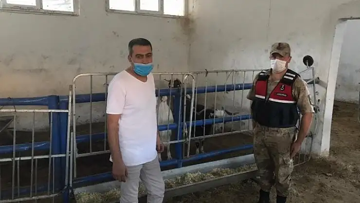 'Kayıp hayvanları, jandarma 12 kilometre uzaklıkta buldu'
