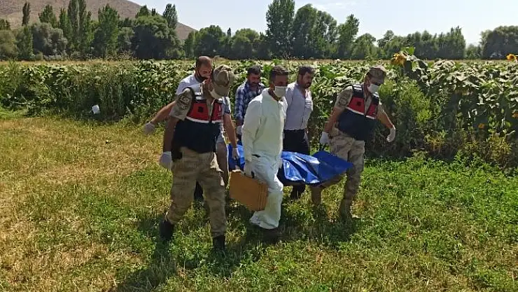 'Kayıptı, ayçiçeği tarlasında ölü bulundu'