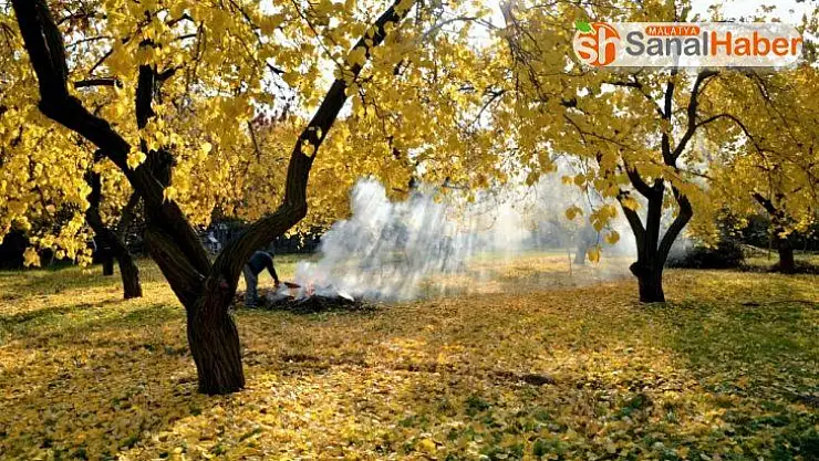 Kayısı için uyarı