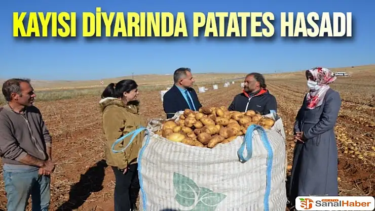 Kayısı diyarında patates hasadı 