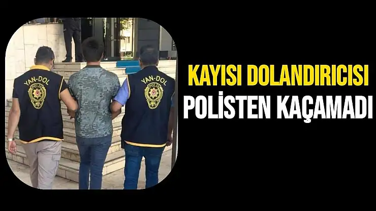 Kayısı dolandırıcısı polisten kaçamadı
