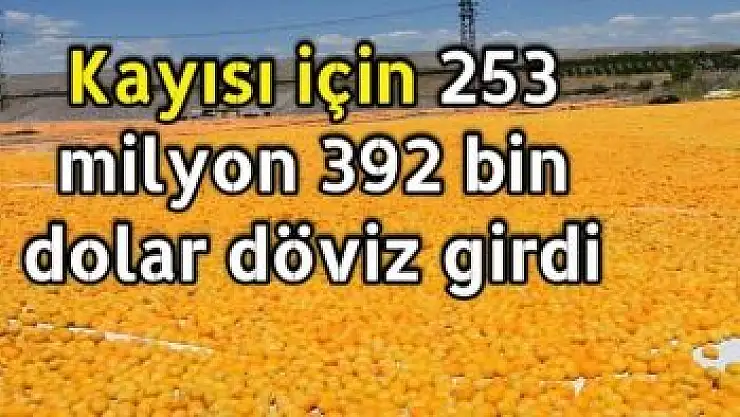 Kayısı için 253 milyon 392 bin dolar döviz girdi