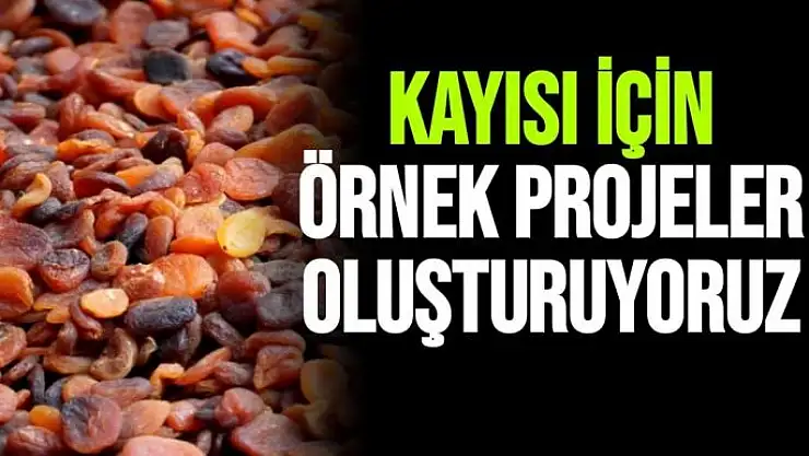 Kayısı için  Örnek projeler oluşturuyoruz