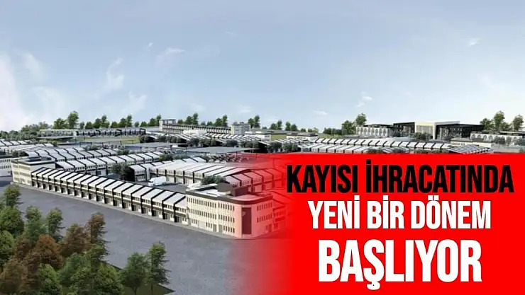 Kayısı ihracatında yeni bir dönem başlıyor