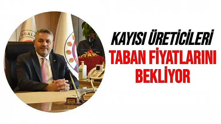 Kayısı üreticileri taban fiyatlarını bekliyor