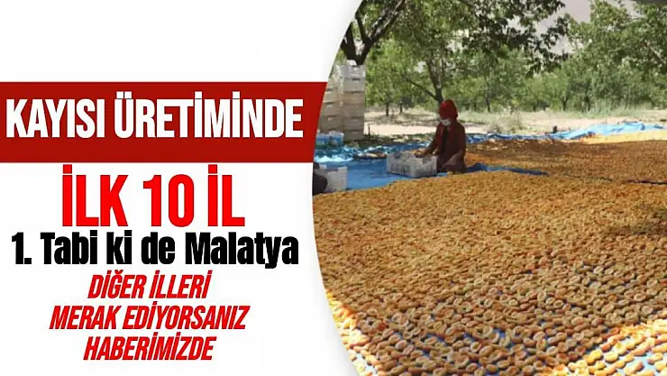 kayısı üretiminde ilk 10 İl 