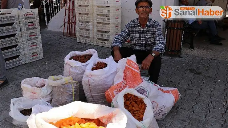 Kayısı pazara indi