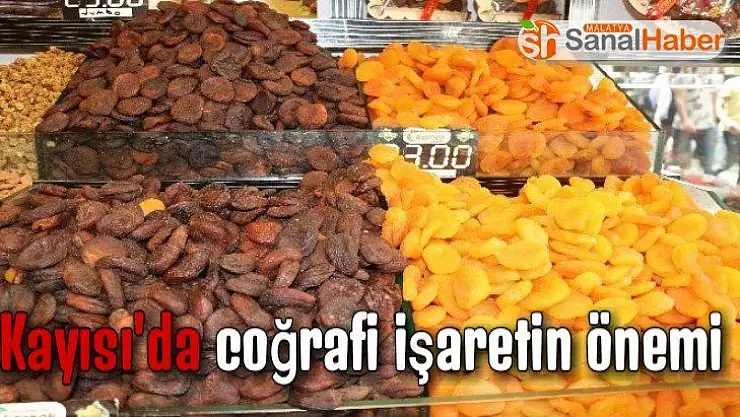 Kayısı'da coğrafi işaretin önemi