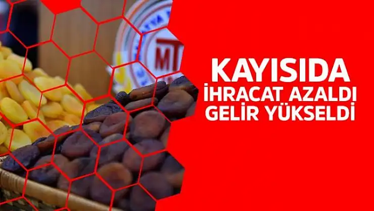 Kayısıda ihracat azaldı, gelir yükseldi
