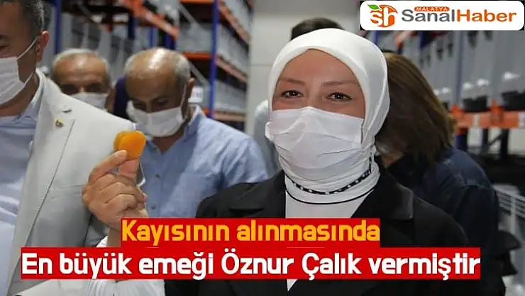 Kayısının alınmasında en büyük emeği Öznur Çalık vermiştir