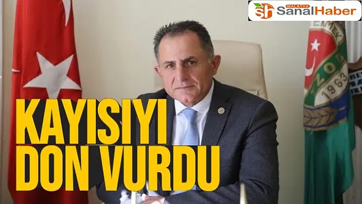 Kayısıyı don vurdu