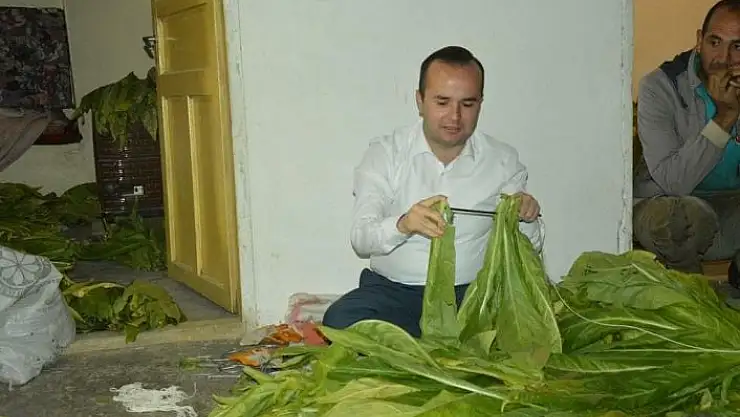 'Kaymakam Arslantürk, tütün biçti, şişe sapladı'