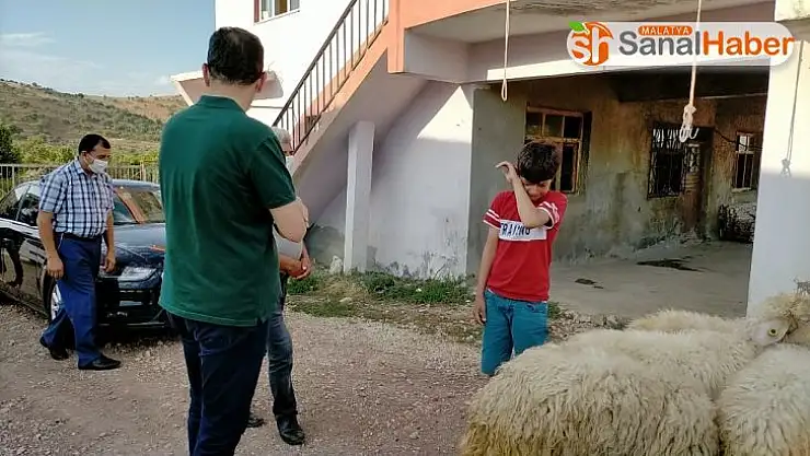 Kazada kuzusu ölen Barış'a kuzu hediyesi